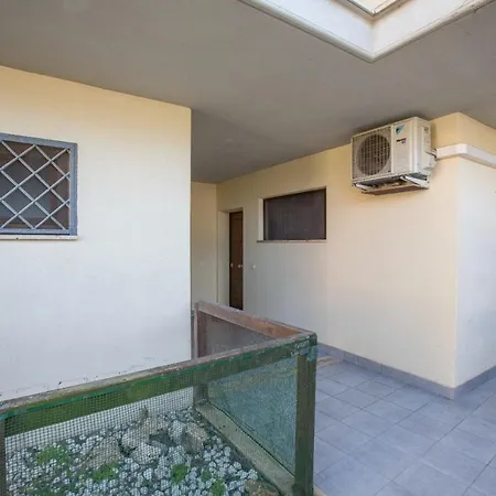 Faro House * Fiumicino
